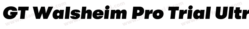 GT Walsheim Pro Trial Ultra Bold Re字体转换